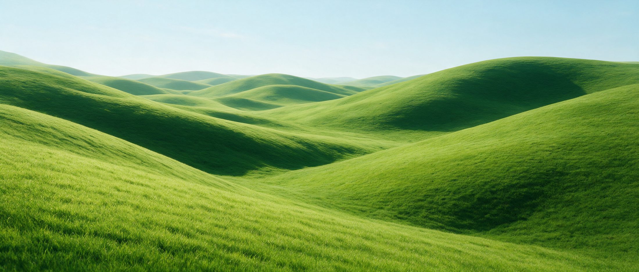 Lush green rolling hills