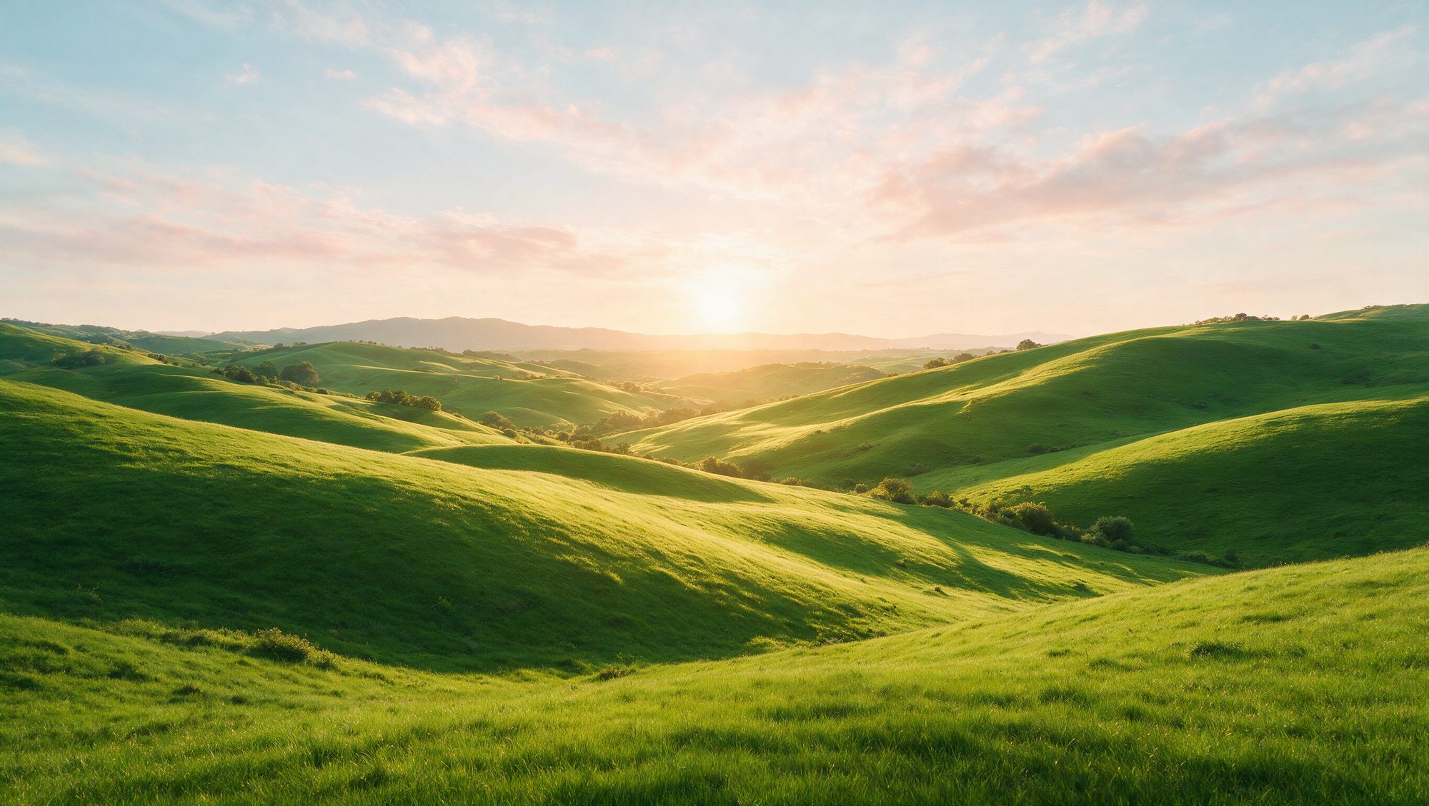 Rolling green hills at golden sunset